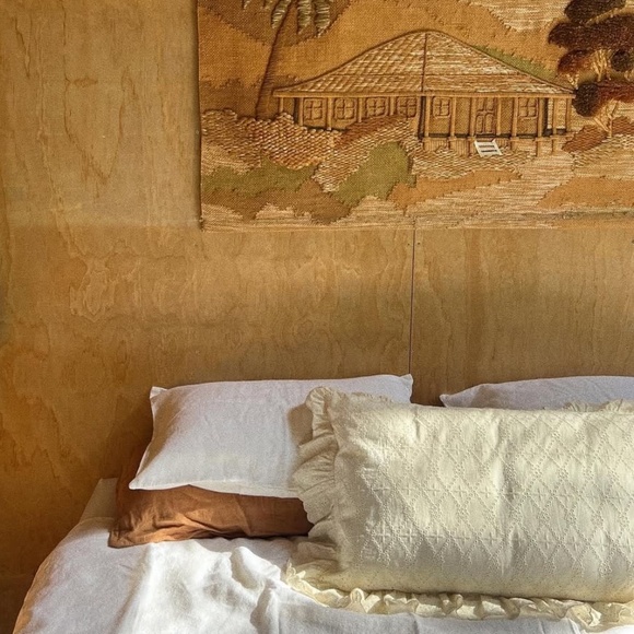 Dazed but Amazed Eyelet Pillowcases - Picture 1 of 3